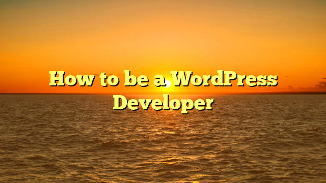 How to be a WordPress Developer
