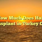 How Much Does Hair Transplant in Turkey Cost?