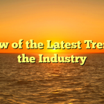 Review of the Latest Trends in the Industry